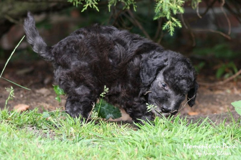 Arc-en-ciel Antares 2009-06-17 (11).JPG